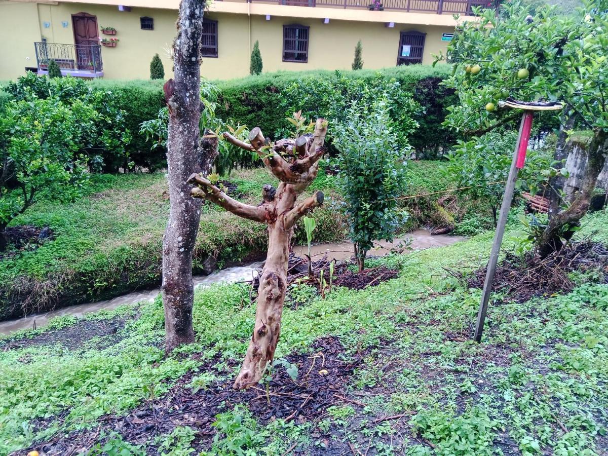 Bird House - Apartament Jardin Ngoại thất bức ảnh