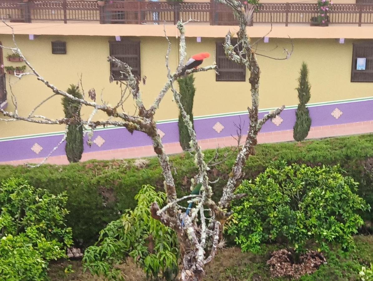 Bird House - Apartament Jardin Ngoại thất bức ảnh