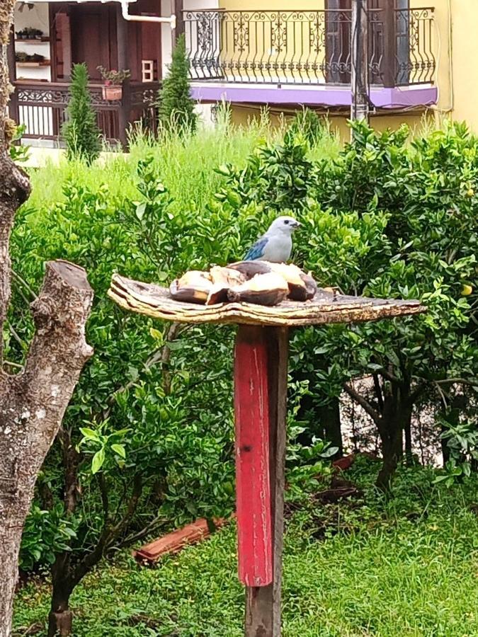 Bird House - Apartament Jardin Ngoại thất bức ảnh