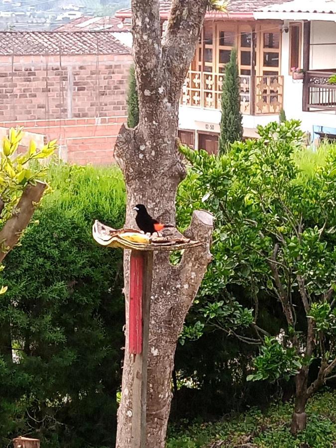 Bird House - Apartament Jardin Ngoại thất bức ảnh