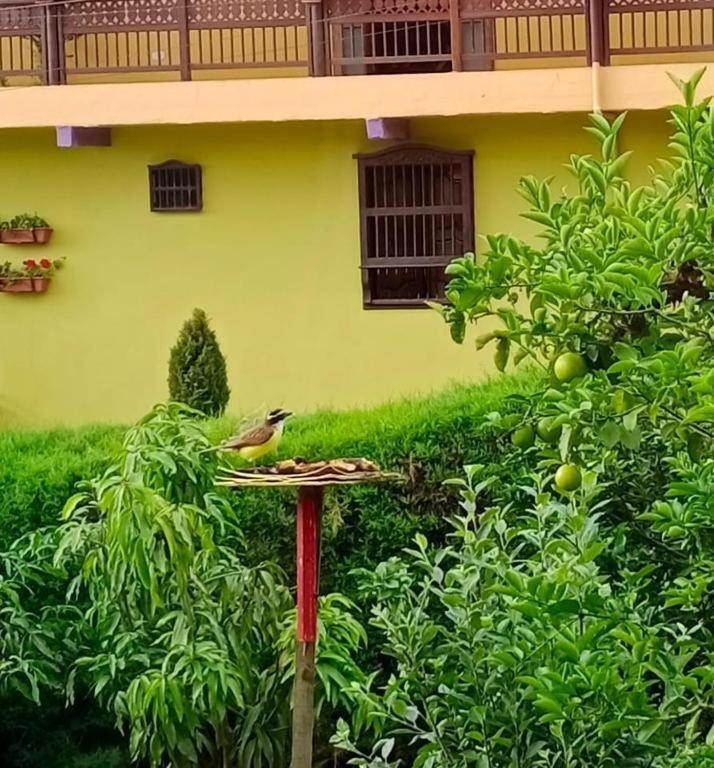 Bird House - Apartament Jardin Ngoại thất bức ảnh