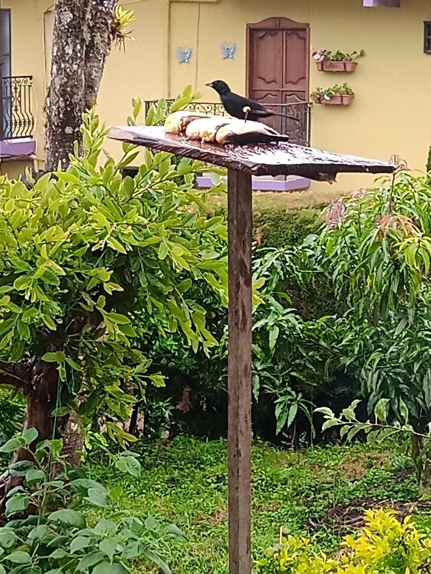 Bird House - Apartament Jardin Ngoại thất bức ảnh