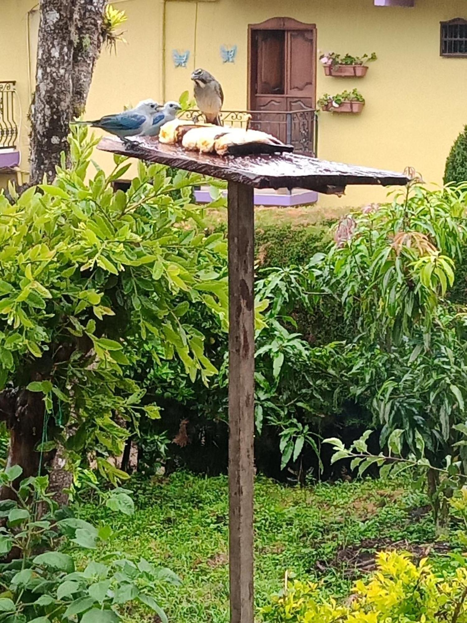 Bird House - Apartament Jardin Ngoại thất bức ảnh