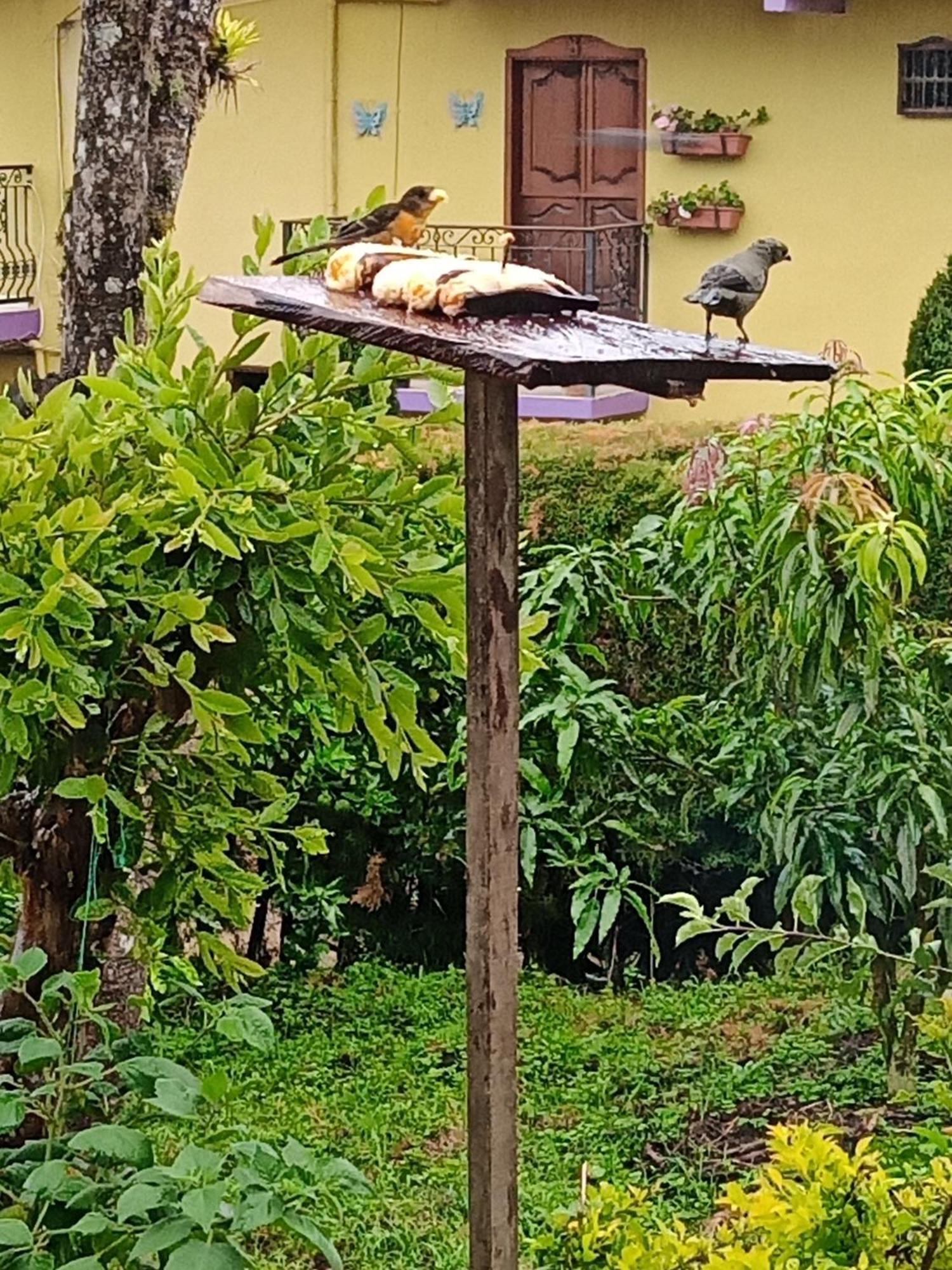 Bird House - Apartament Jardin Ngoại thất bức ảnh