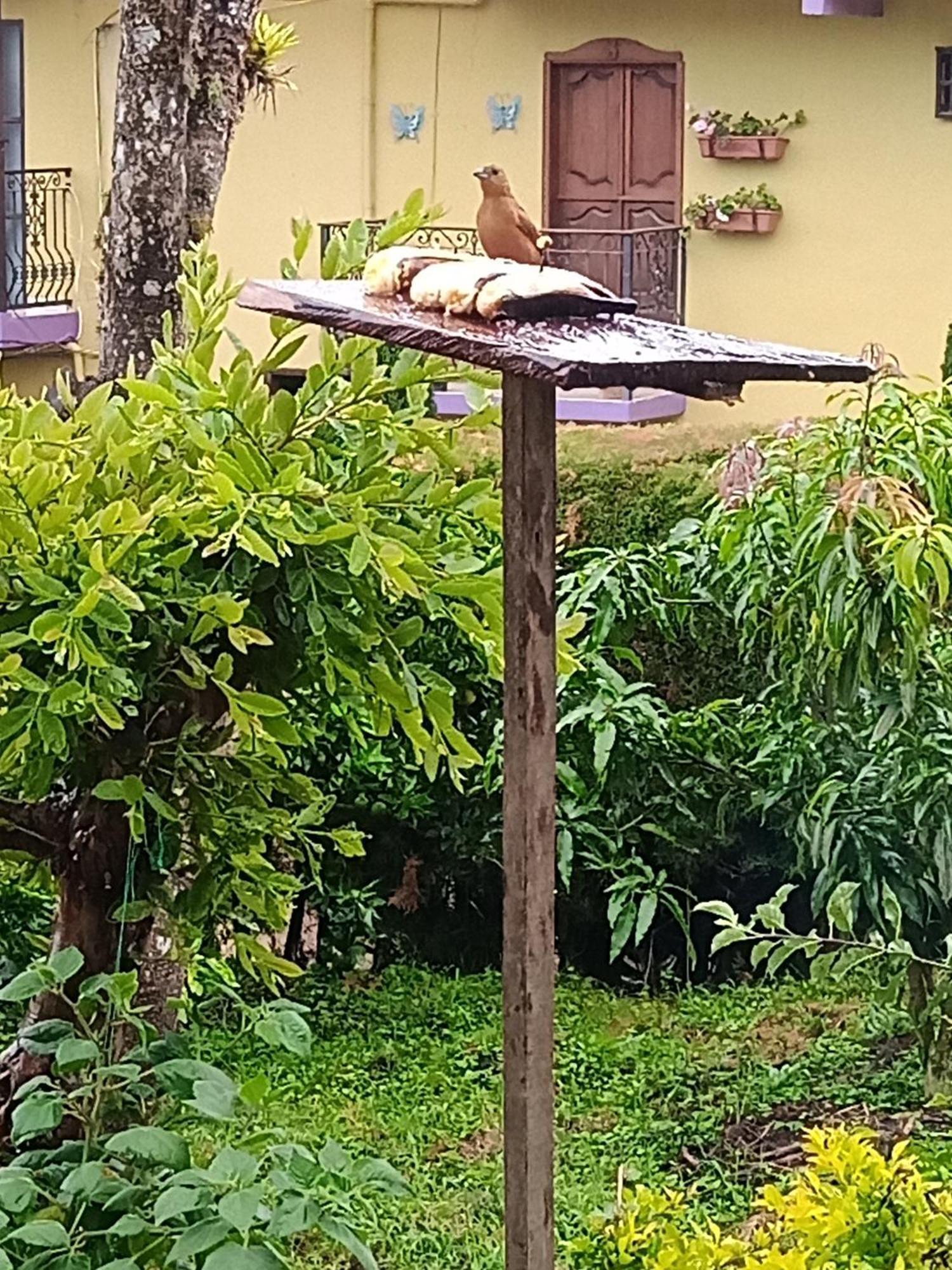 Bird House - Apartament Jardin Ngoại thất bức ảnh